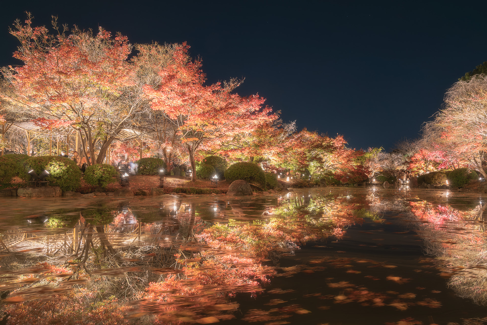 東寺(紅葉ライトアップ)
