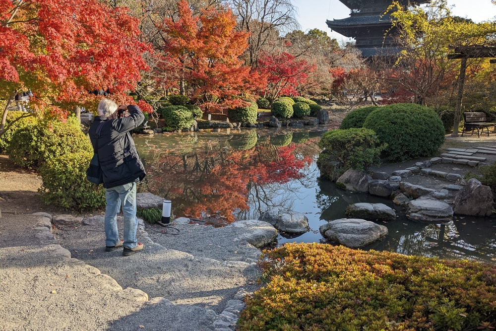 東寺 撮影スポット
