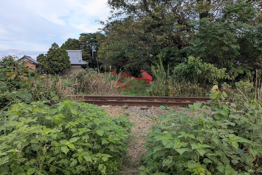 犀川むかい地蔵周辺の彼岸花 撮影スポット