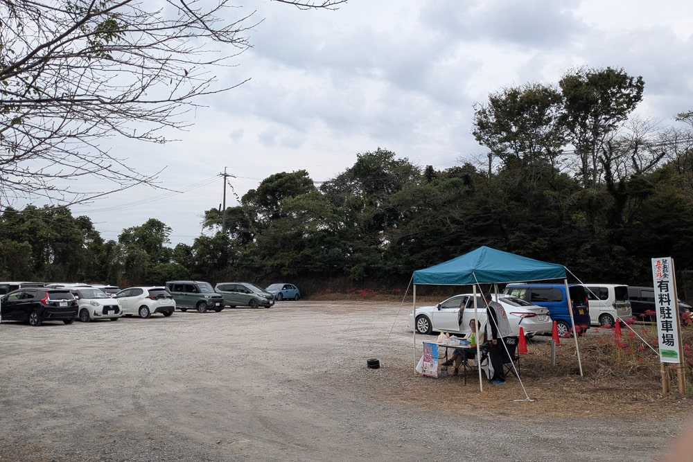 津屋川彼岸花駐車場