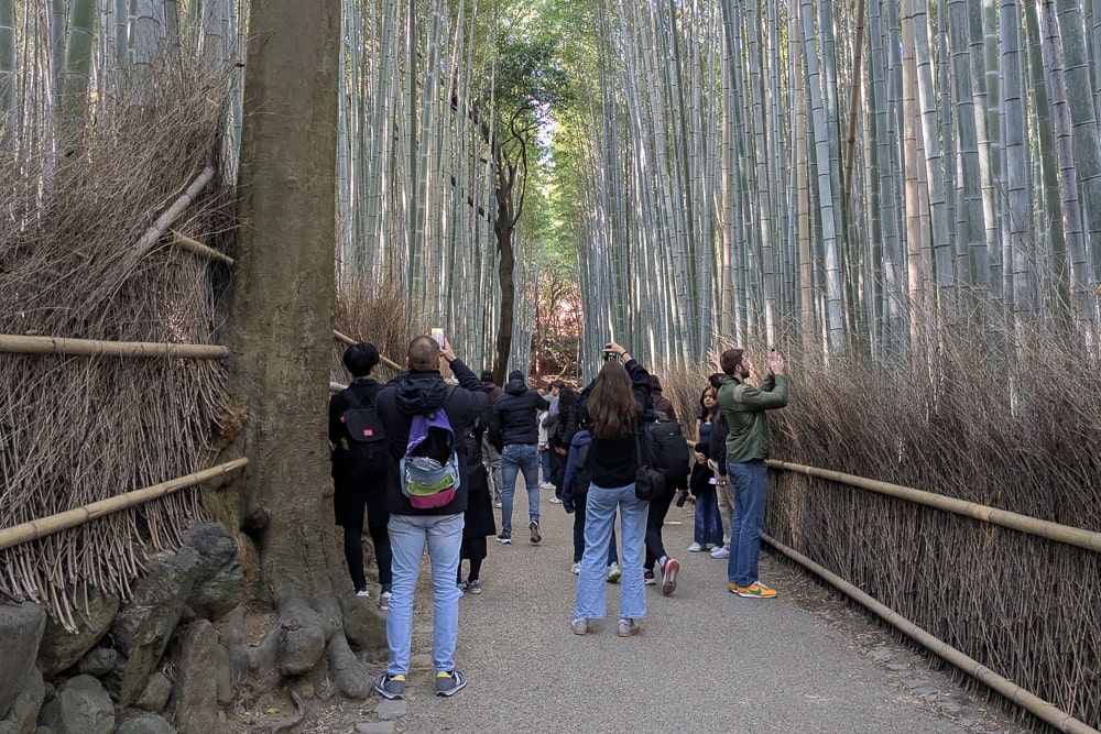 竹林の小径（嵐山）撮影スポット