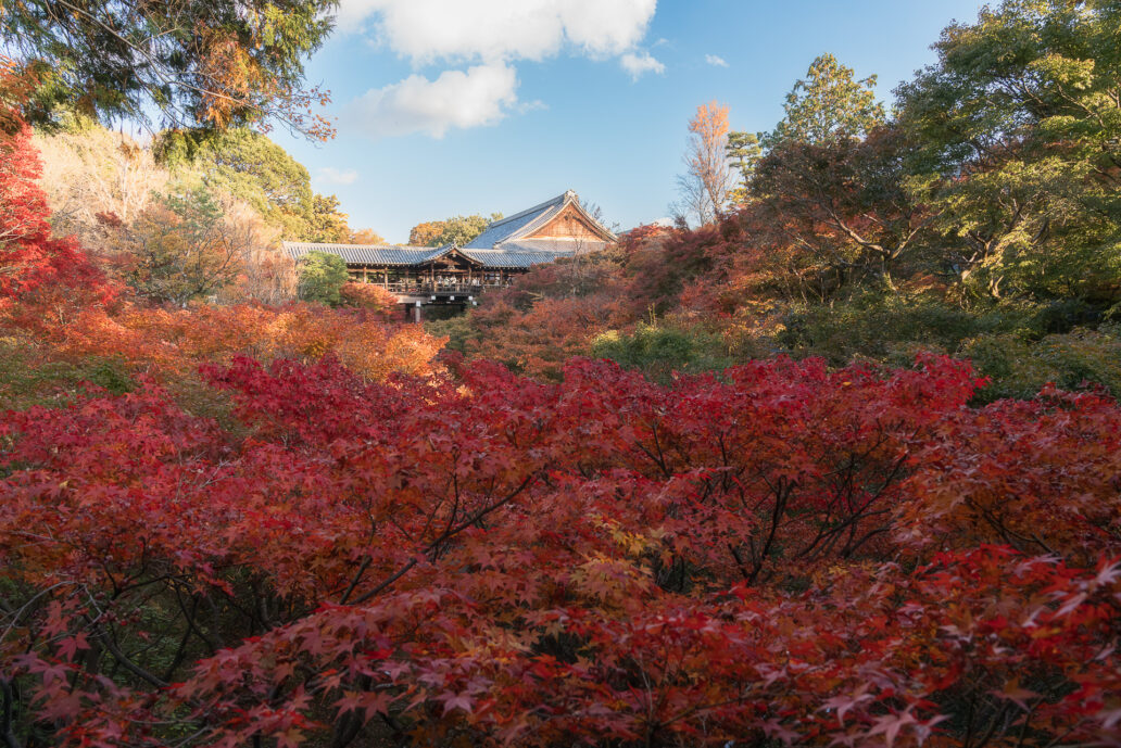 東福寺（通天橋）