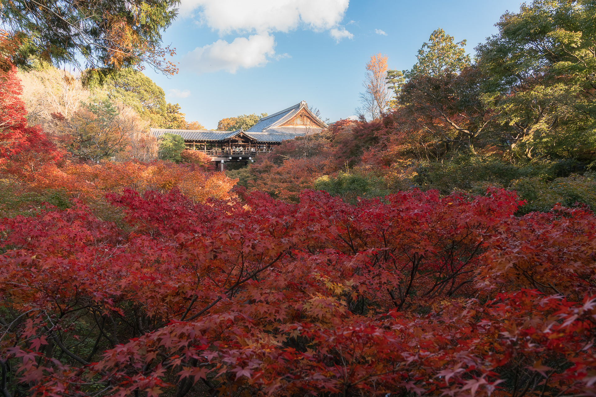 東福寺（通天橋）