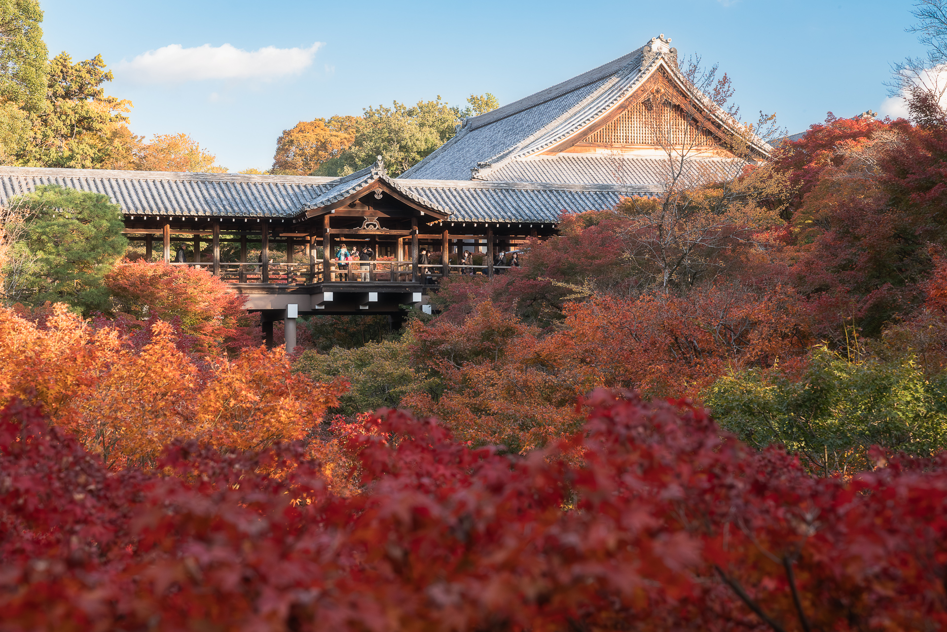 東福寺（通天橋）
