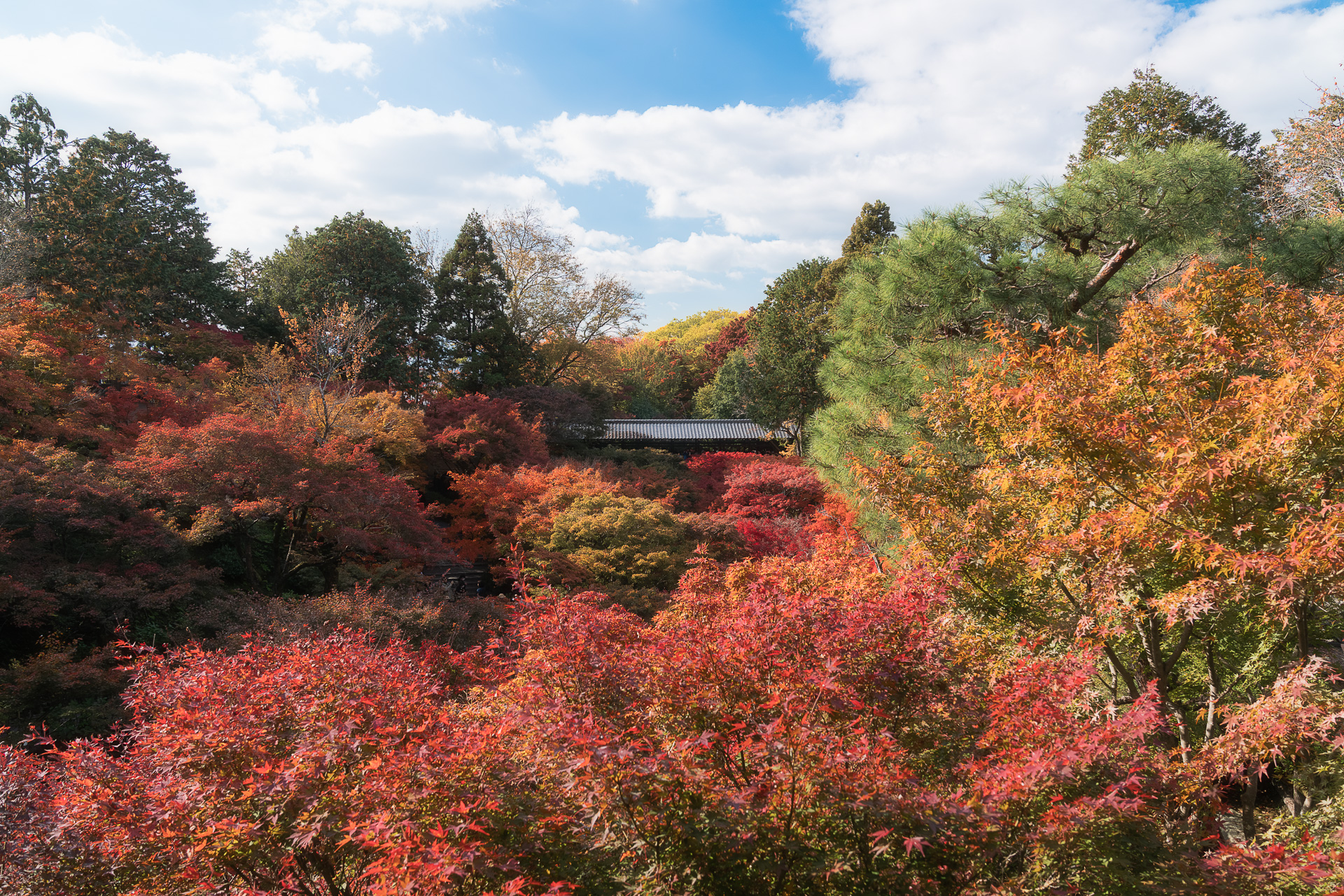 東福寺（通天橋）