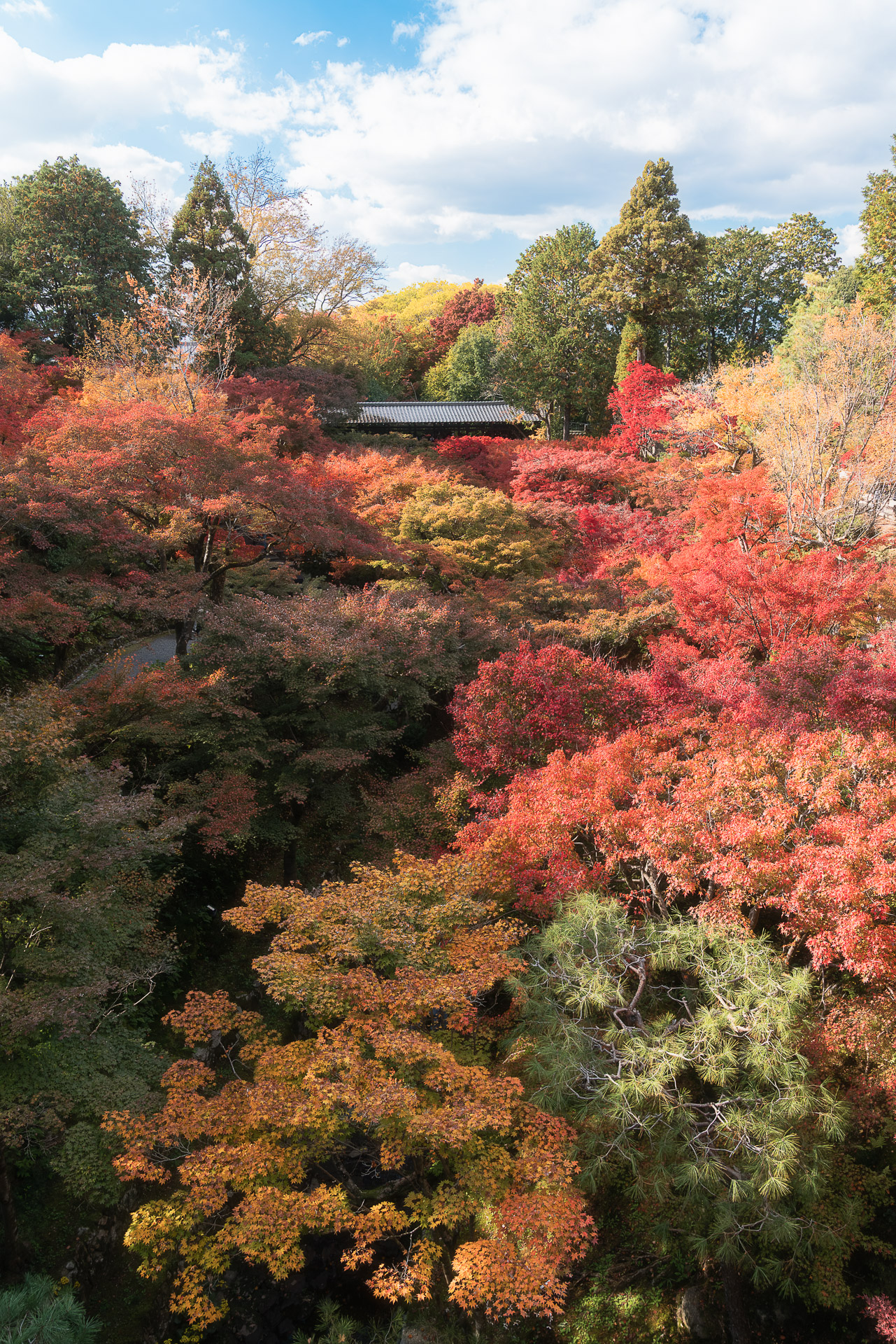 東福寺（通天橋）