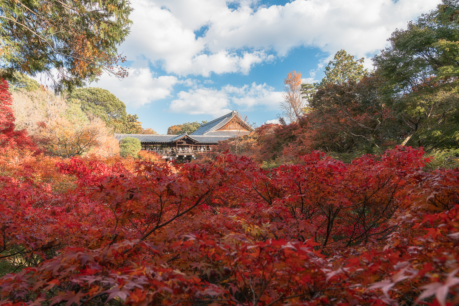 東福寺（通天橋）