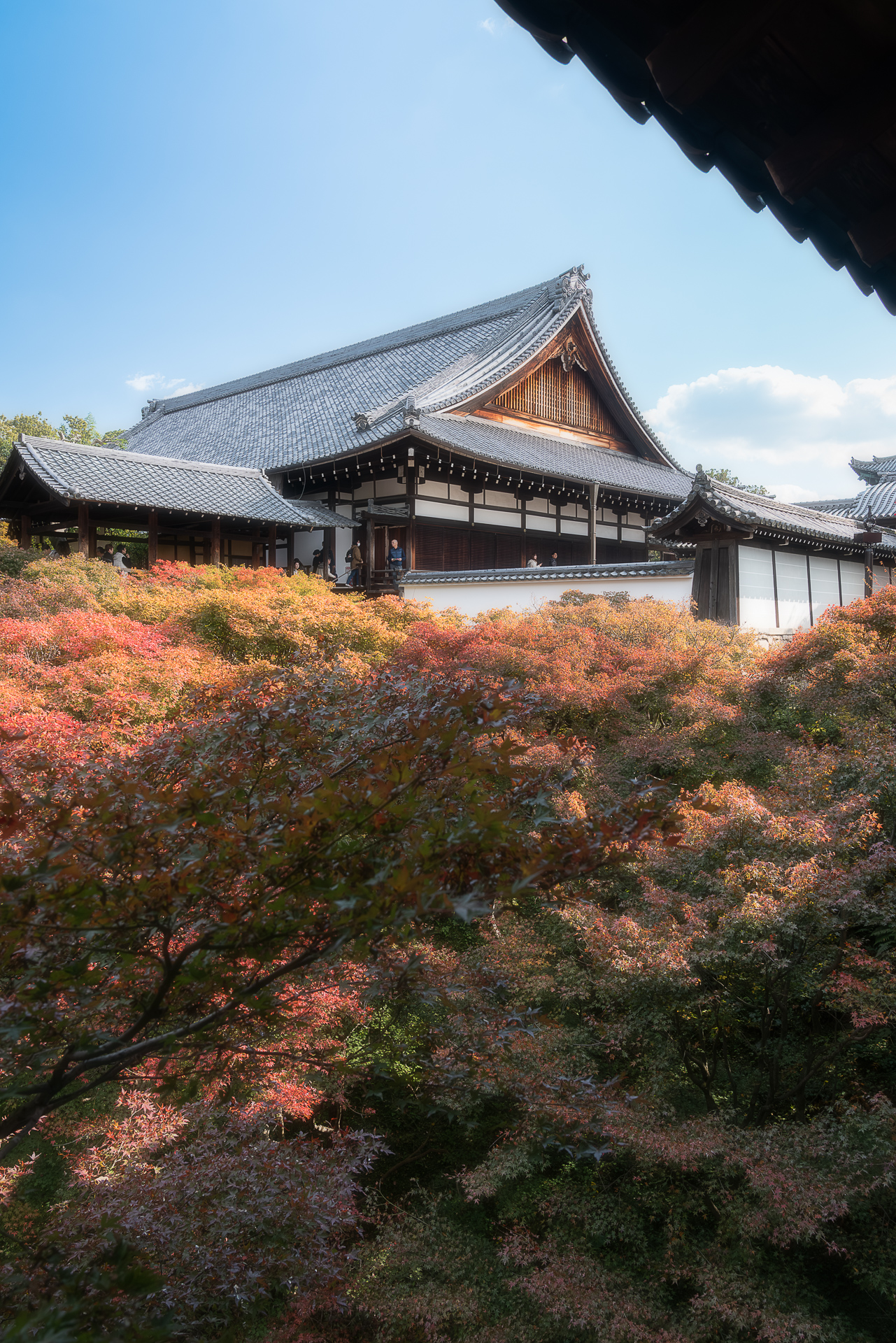 東福寺（通天橋）