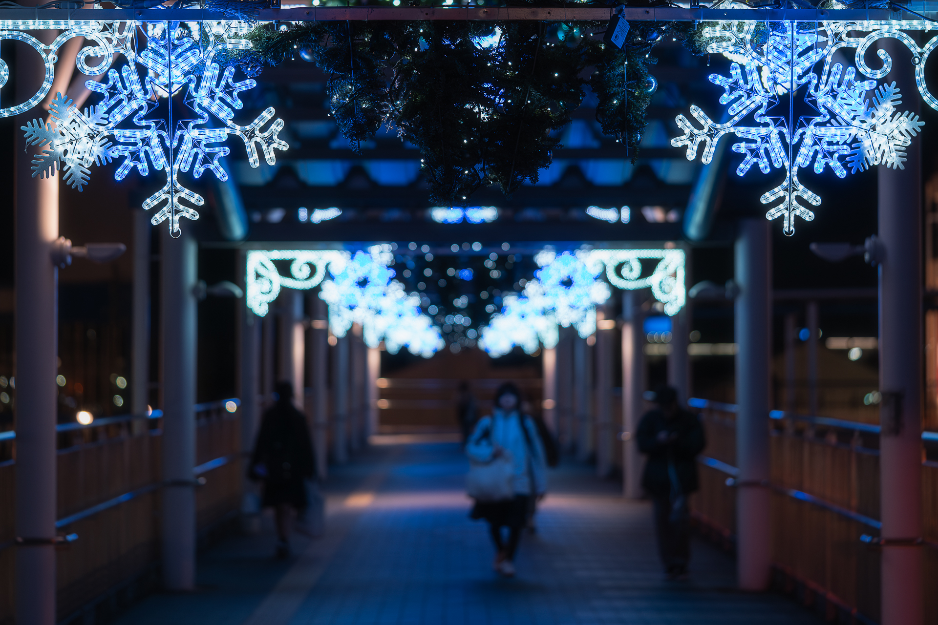 城下町大垣イルミネーション