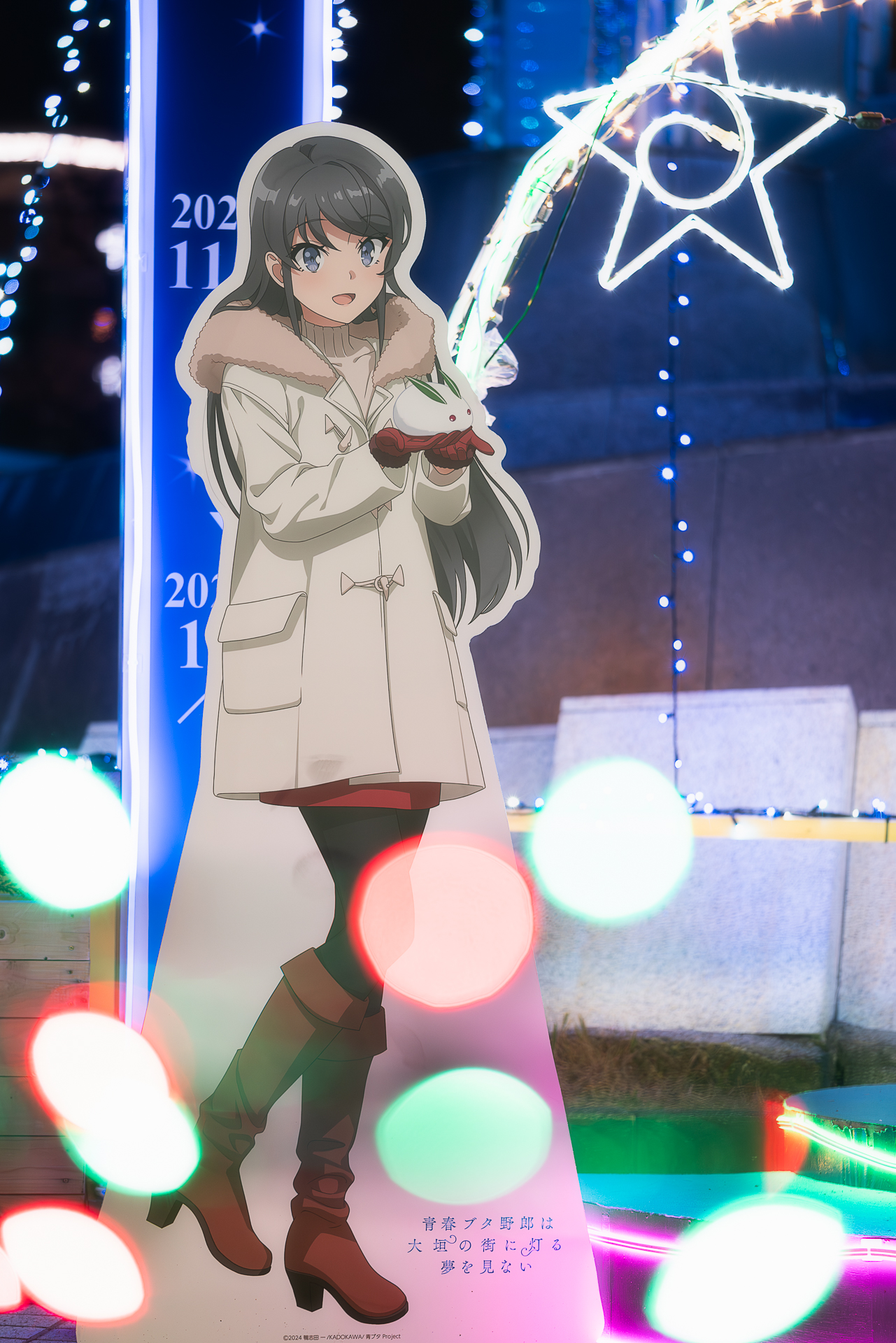 城下町大垣イルミネーション