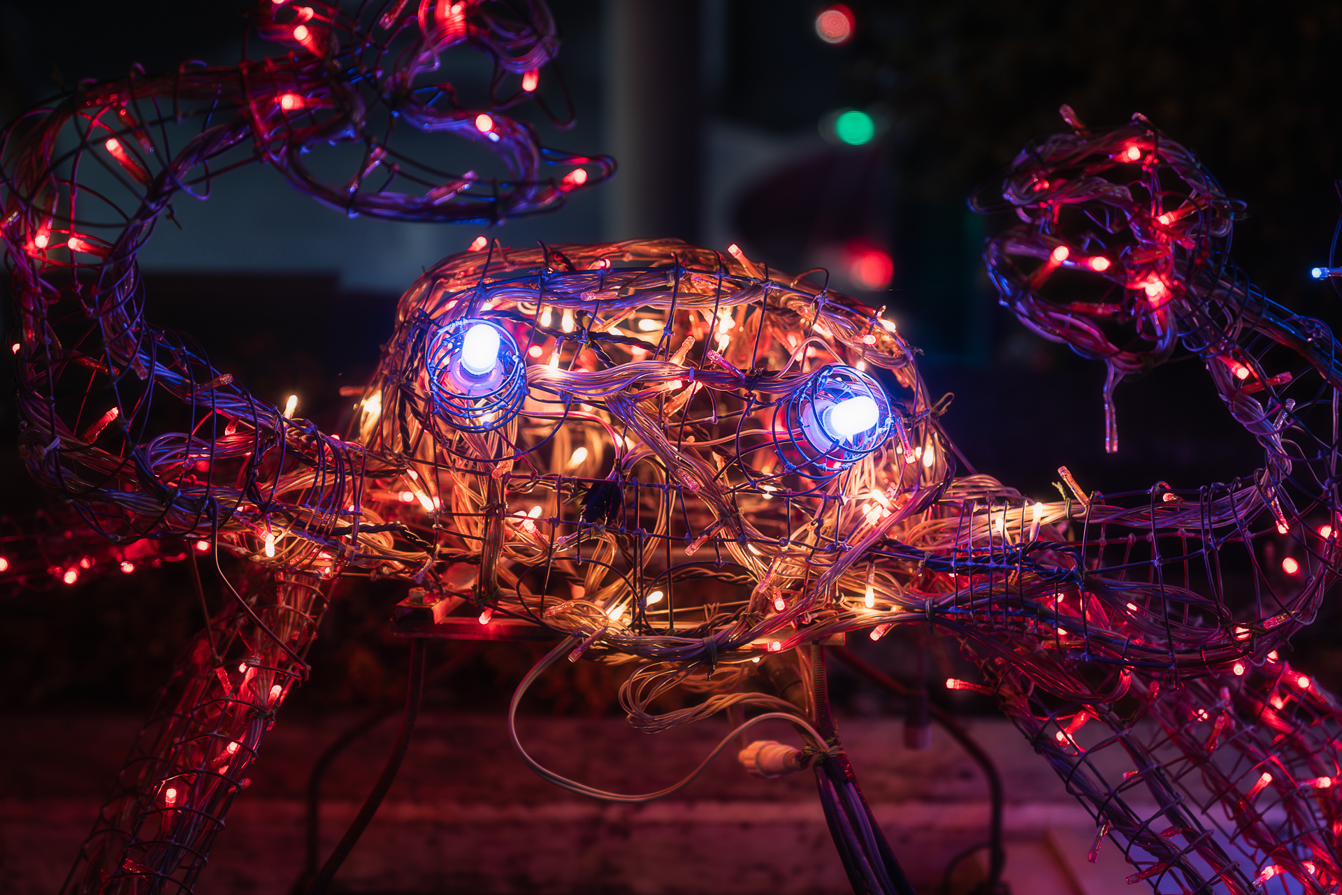 城下町大垣イルミネーション