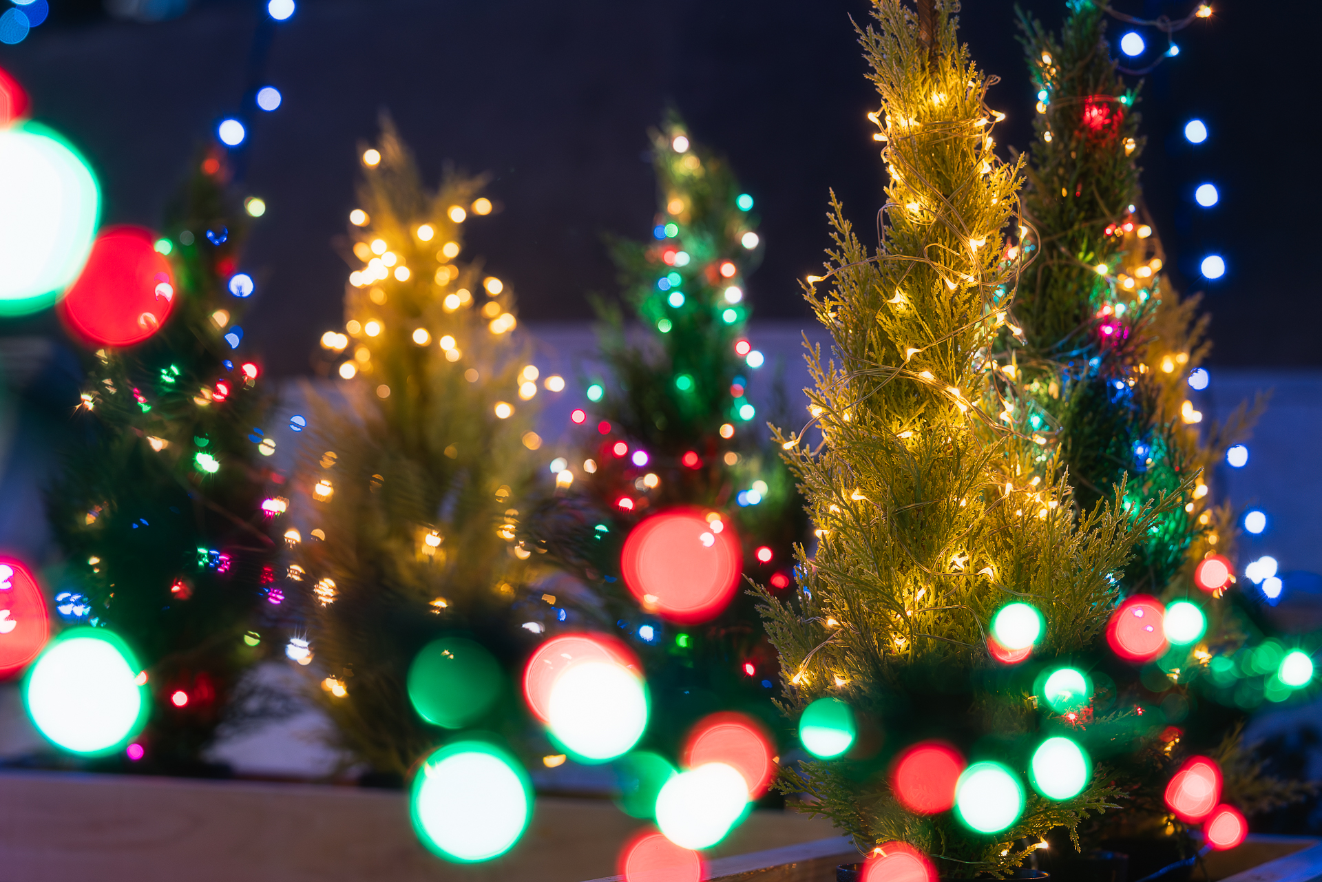 城下町大垣イルミネーション