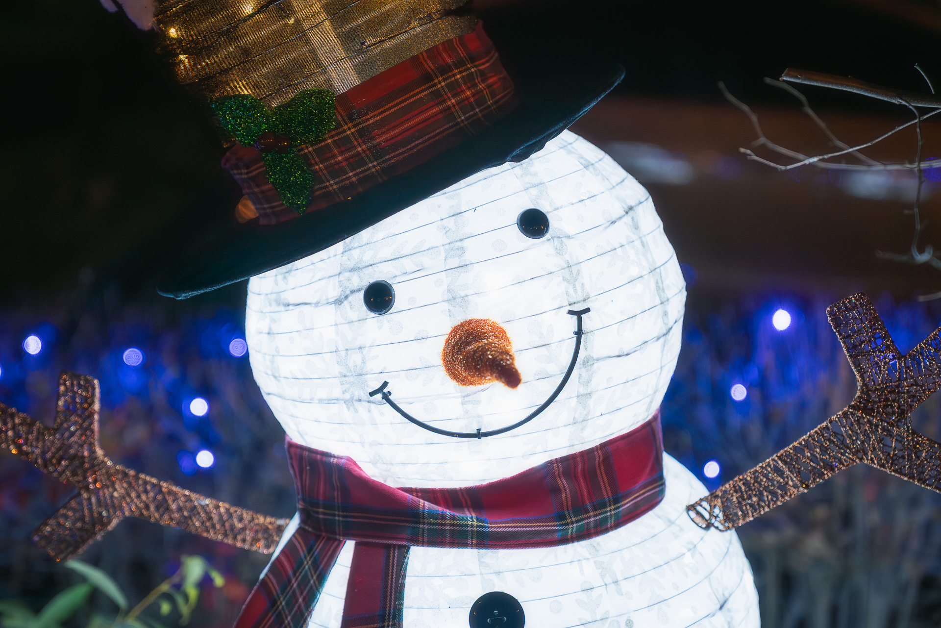 ソフトピアジャパン(イルミネーション)