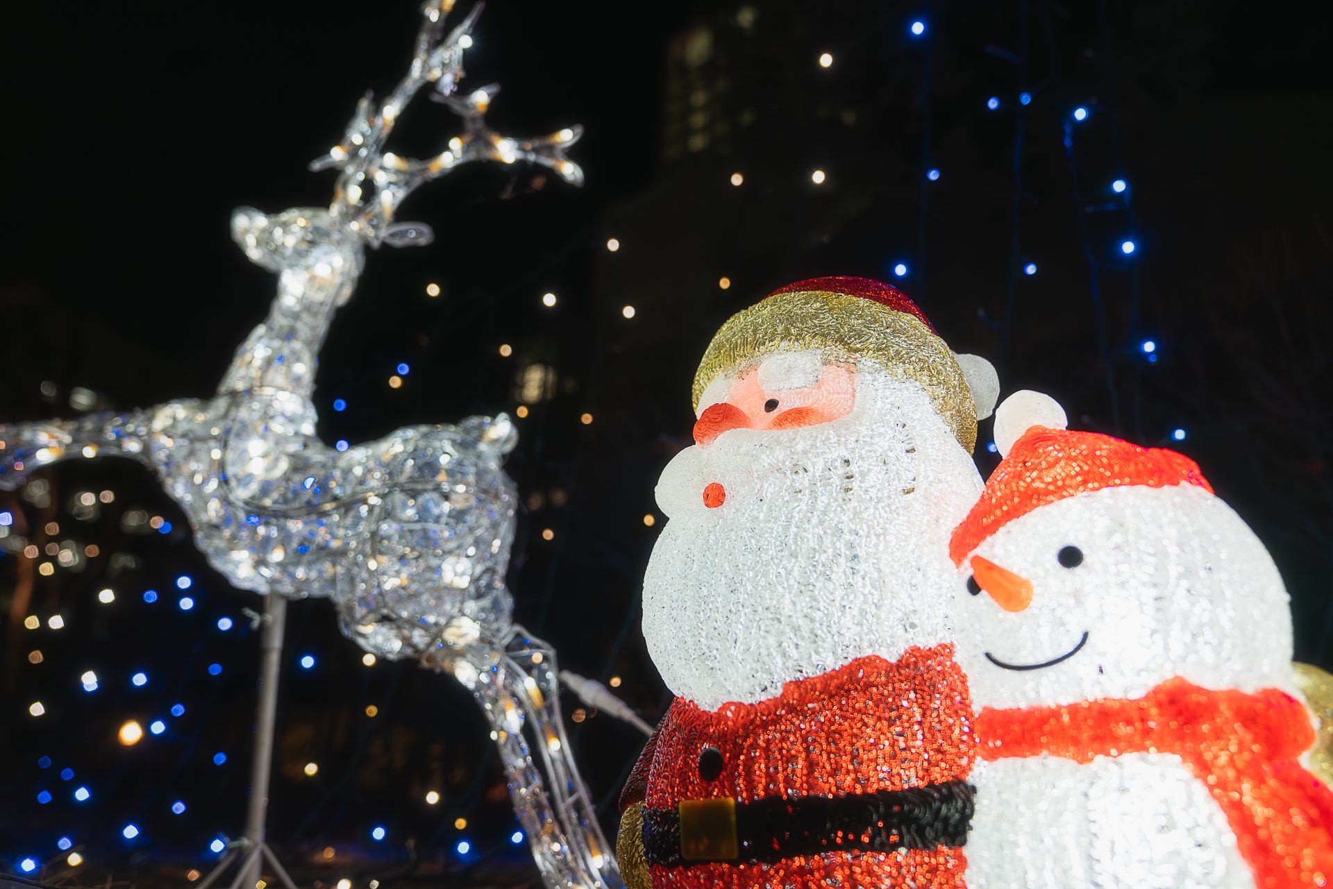 ソフトピアジャパン(イルミネーション)