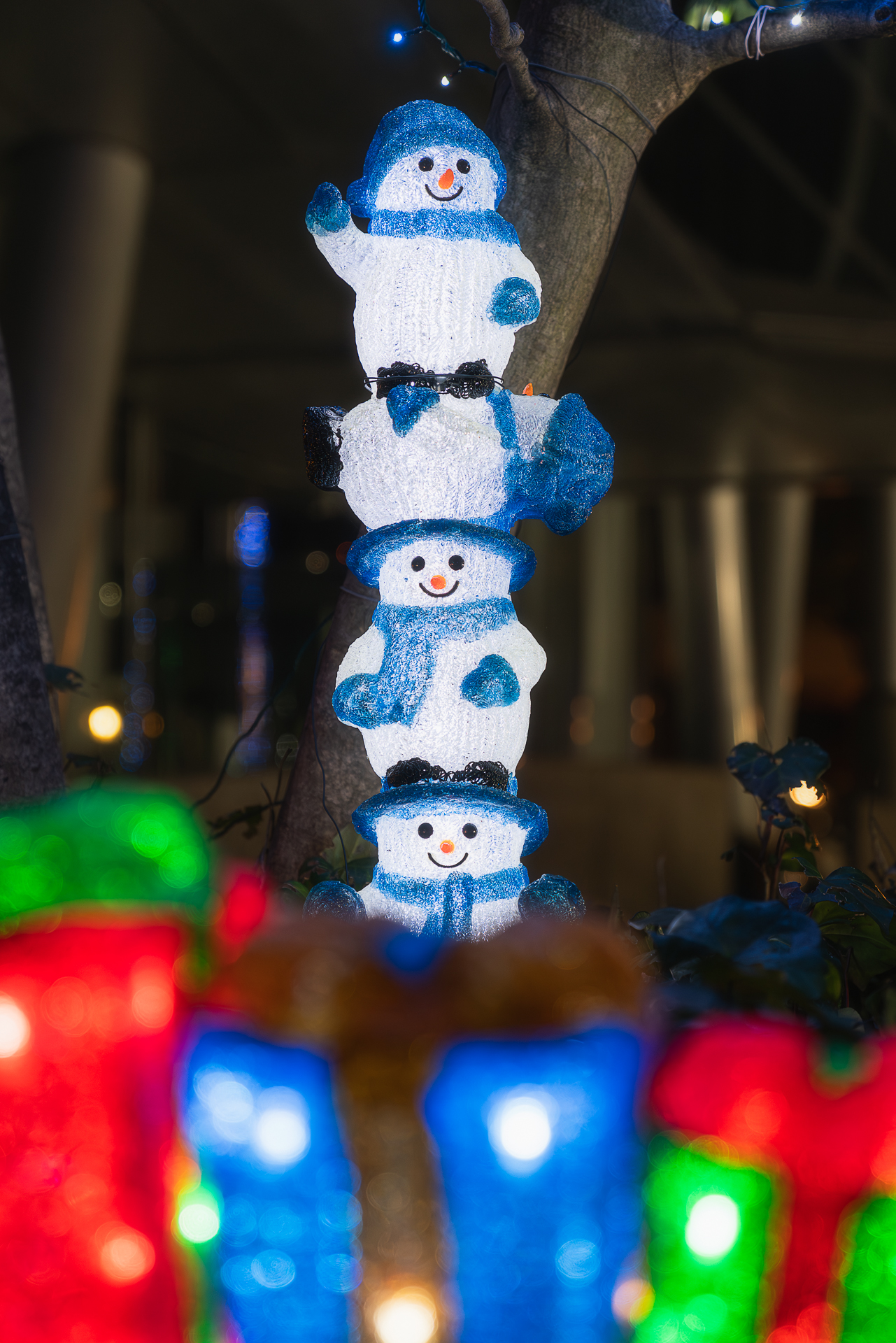 ソフトピアジャパン(イルミネーション)