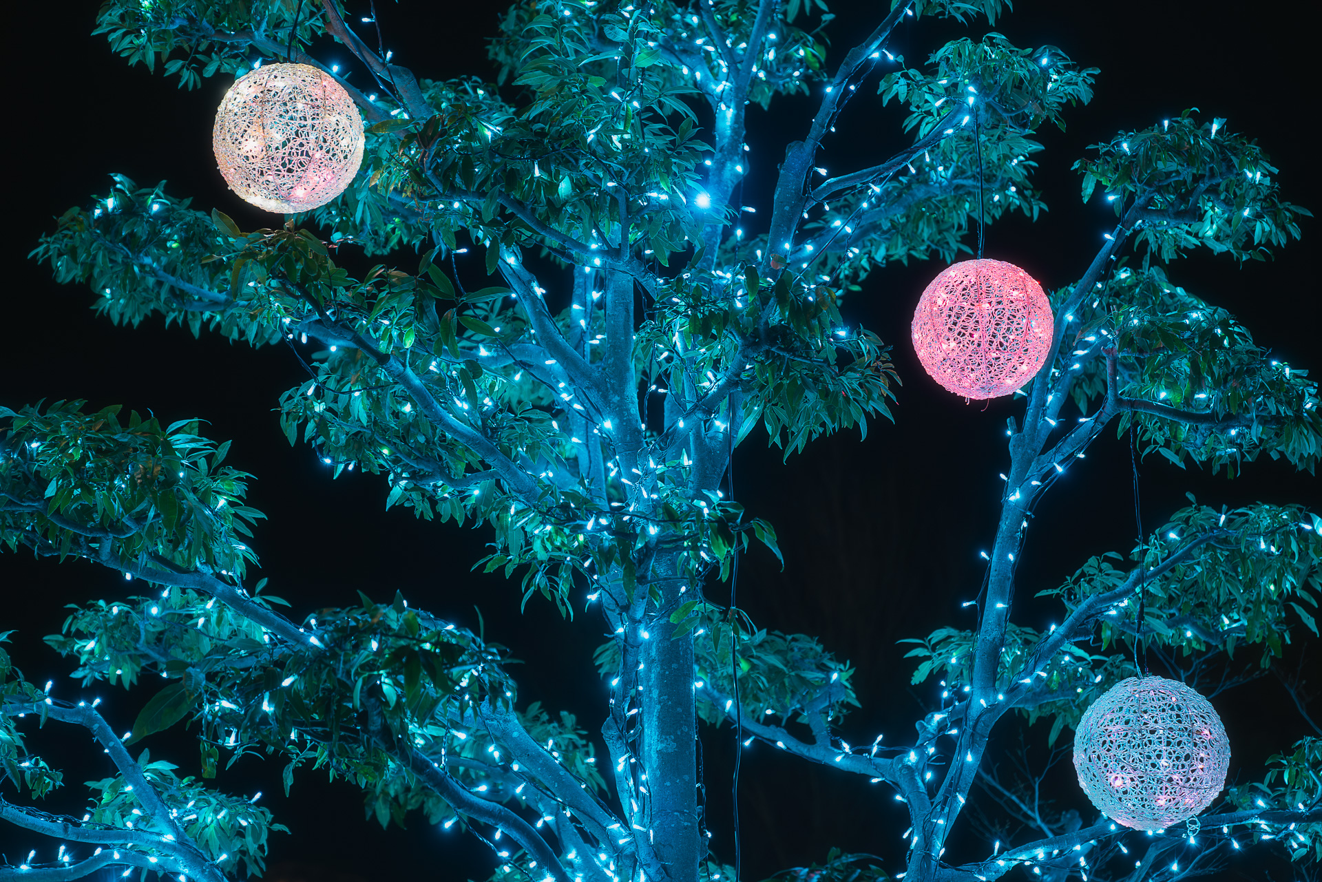 ソフトピアジャパン(イルミネーション)