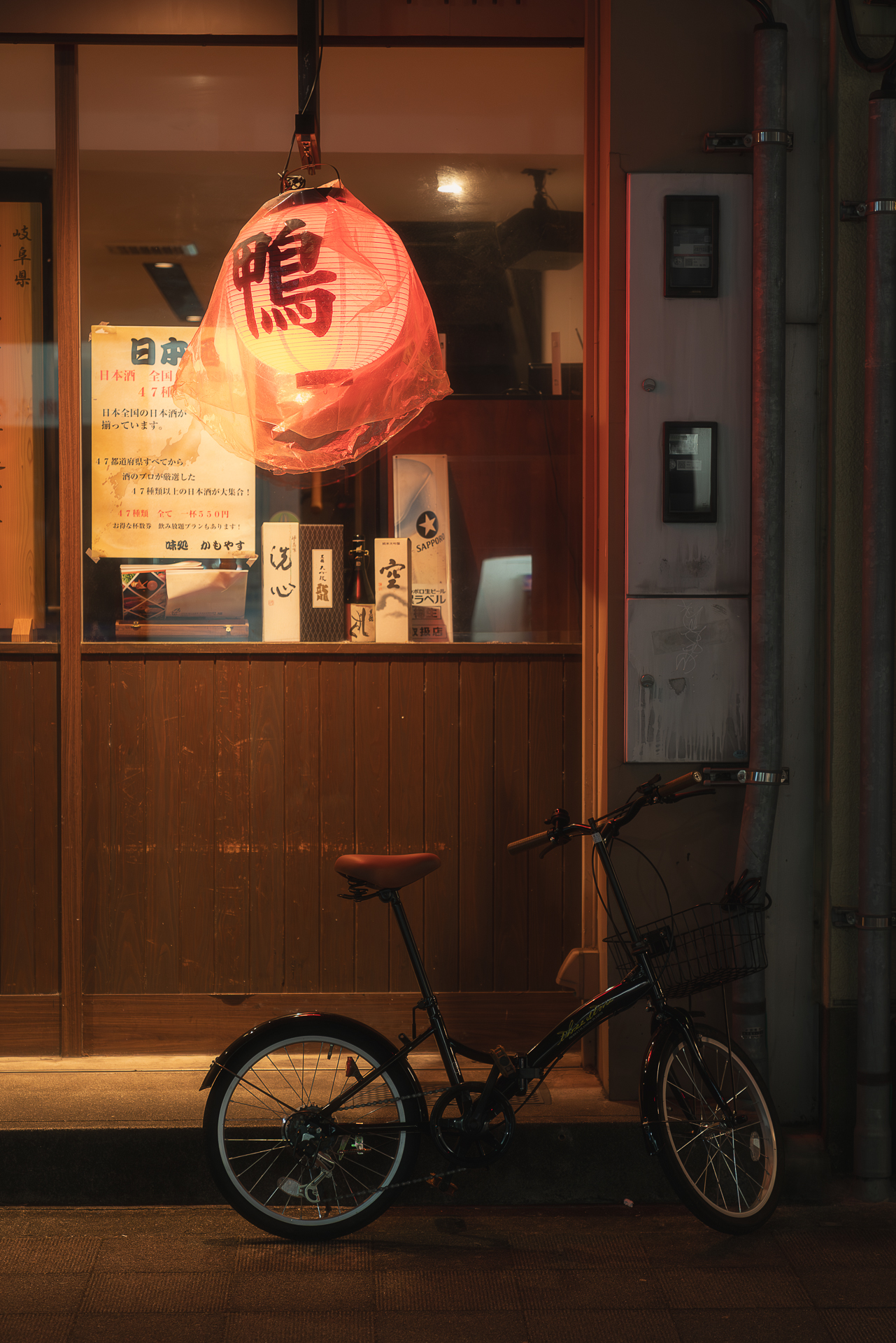 岐阜駅前広場イルミネーション