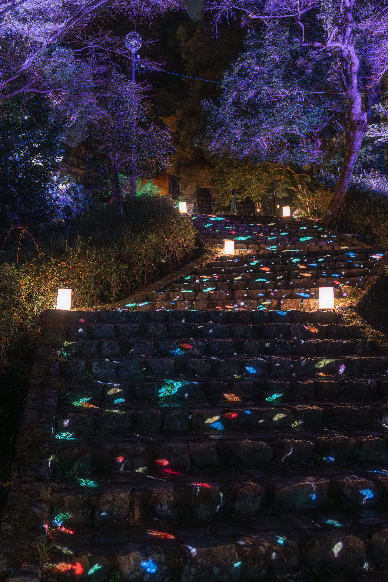 ぎふ灯り物語2026