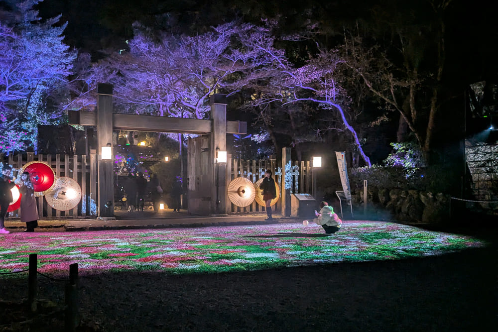 ぎふ灯り物語2026 撮影スポット