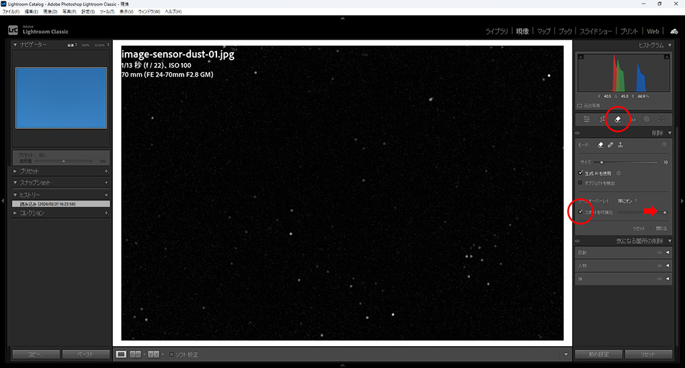 イメージセンサーの汚れ（目立つように編集）