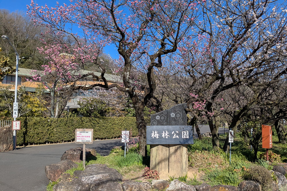 岐阜梅林公園撮影スポット