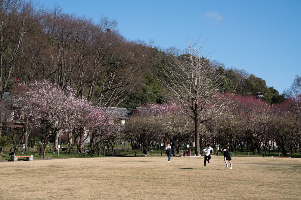 岐阜梅林公園撮影スポット