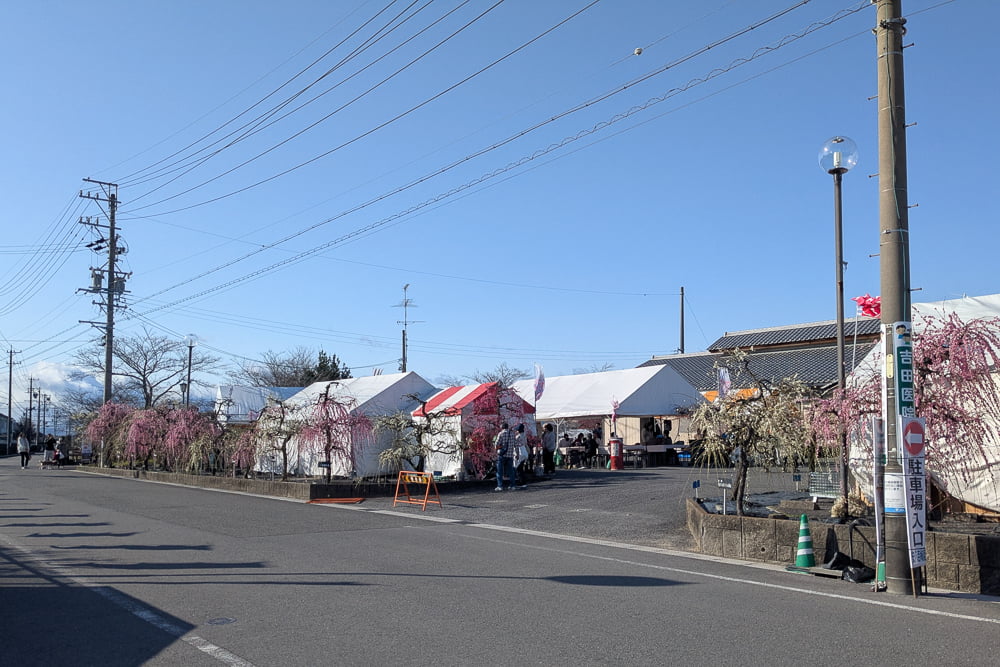 安八梅まつりバザー