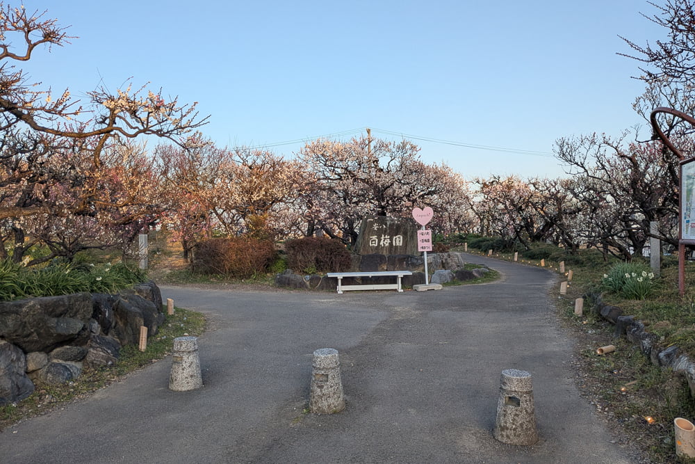 安八百梅園撮影スポット
