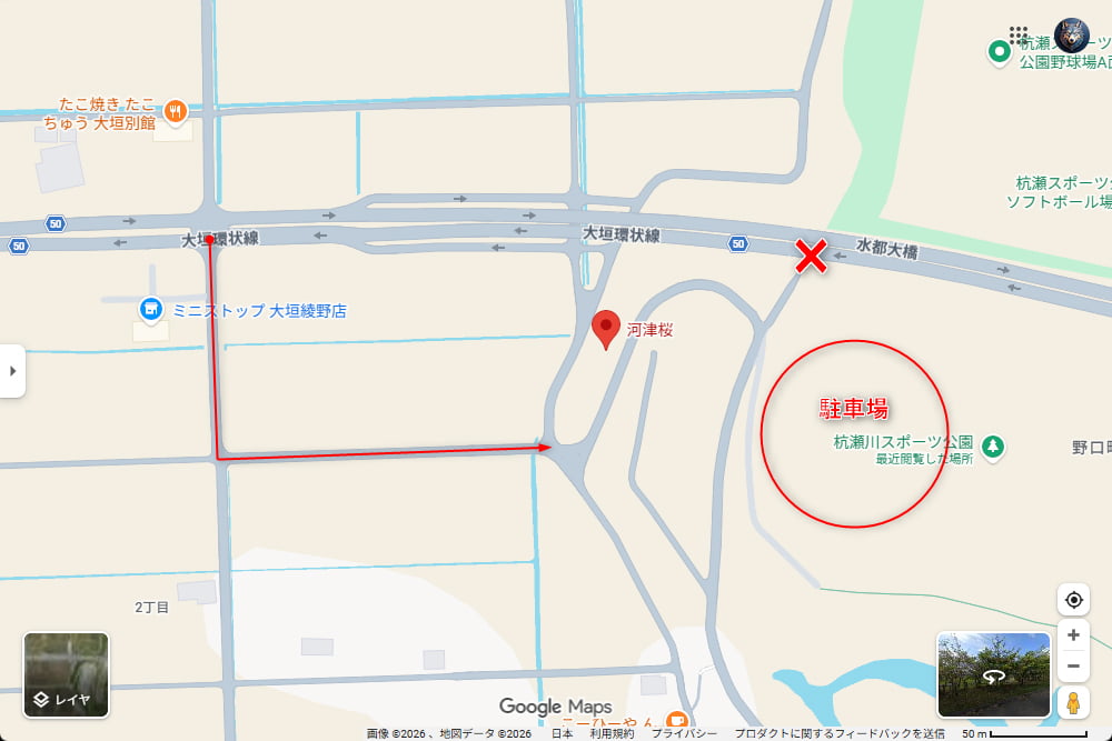 杭瀬川スポーツ公園の河津桜駐車場