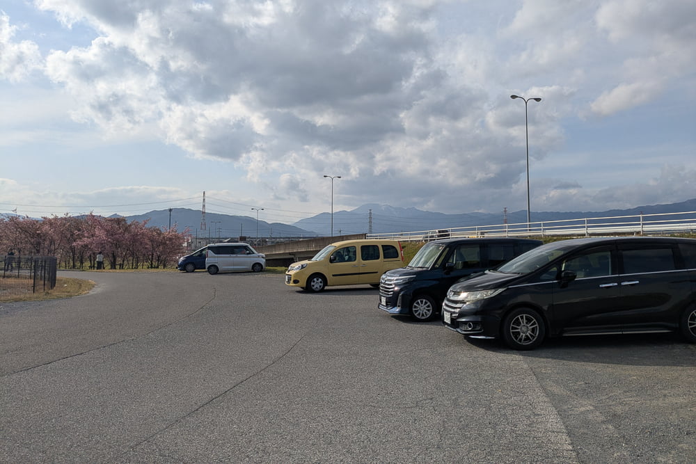杭瀬川スポーツ公園の河津桜駐車場