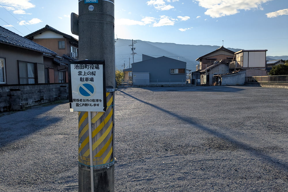 雲上の桜駐車場