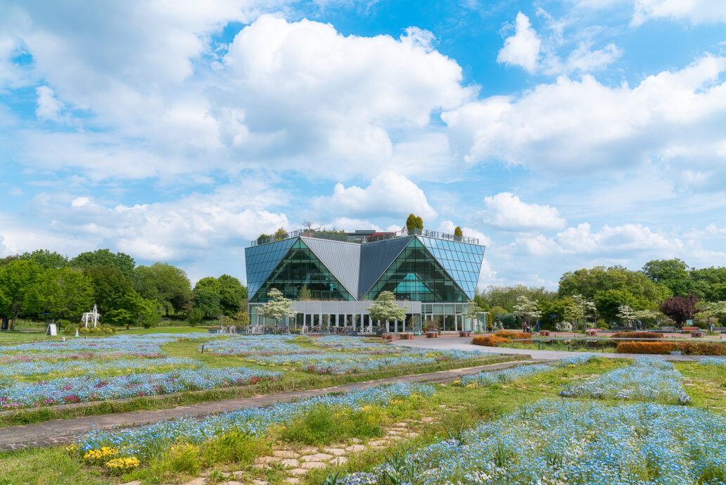 フラワーパーク江南