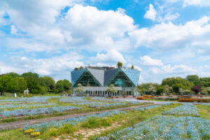 フラワーパーク江南