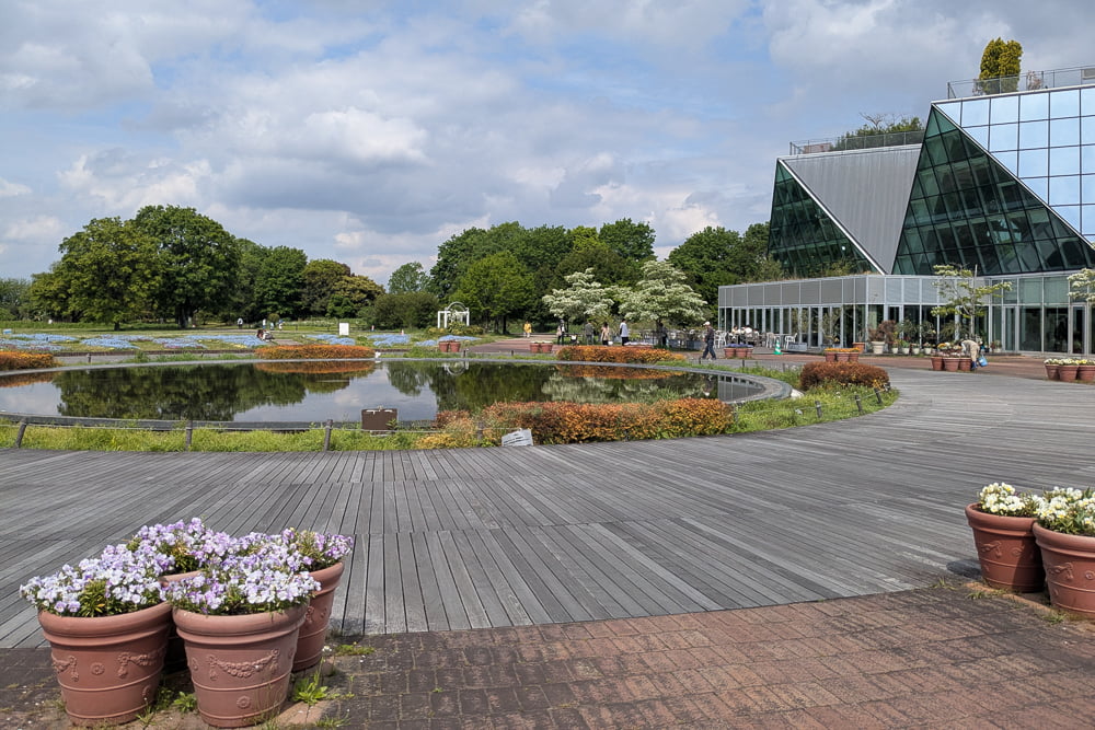 フラワーパーク江南撮影スポット