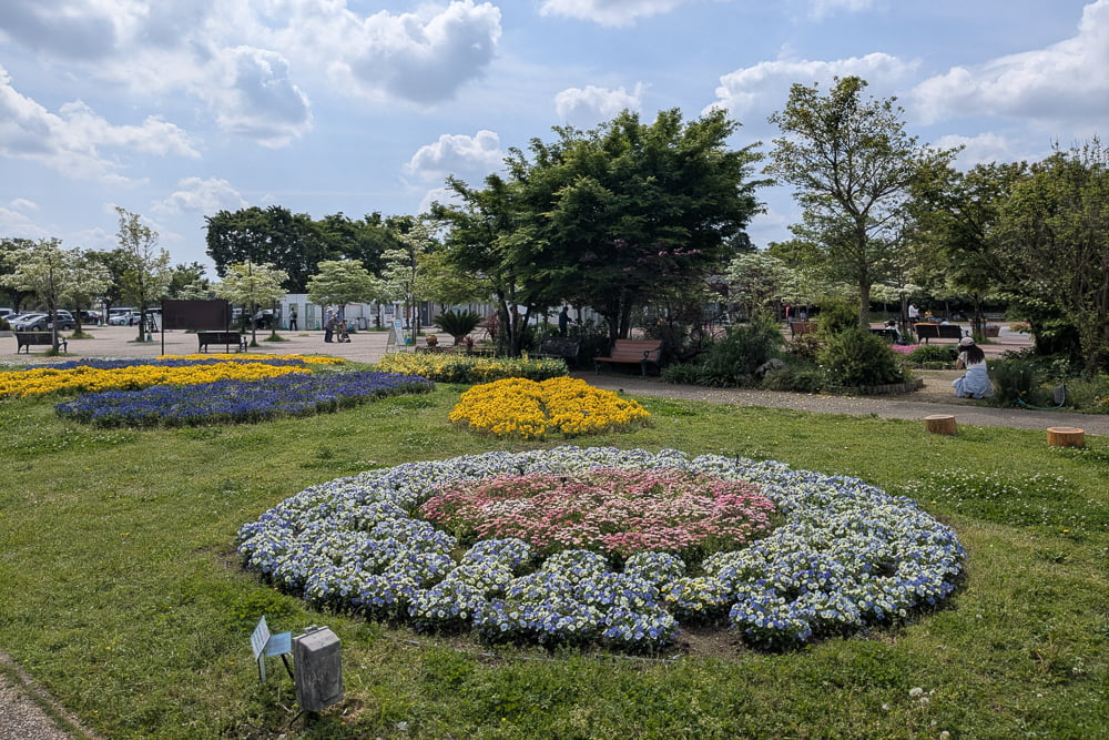 フラワーパーク江南撮影スポット