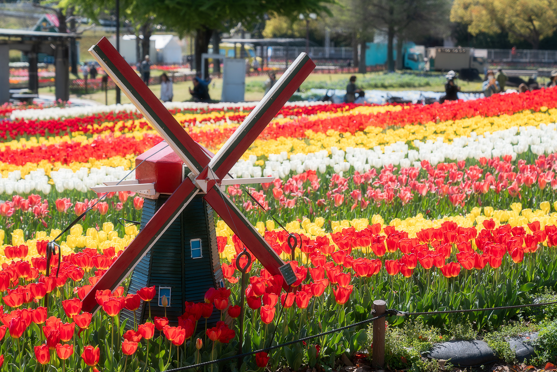 木曽三川公園センター(チューリップ)