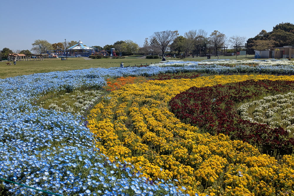 木曽三川公園センター(チューリップ)撮影スポット