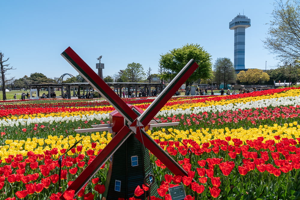木曽三川公園センター(チューリップ)撮影スポット
