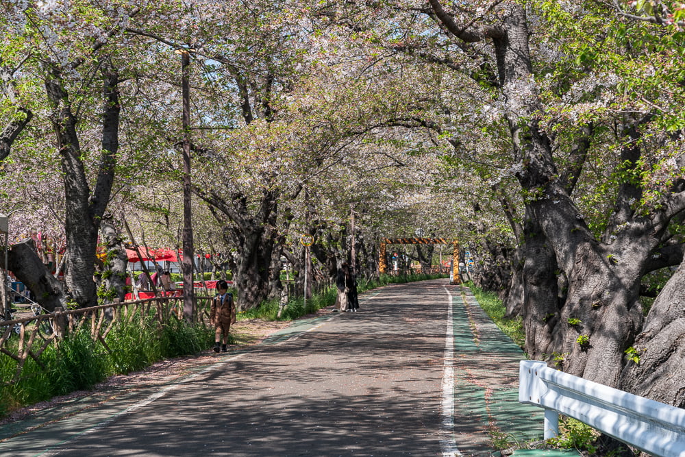 清洲城撮影スポット