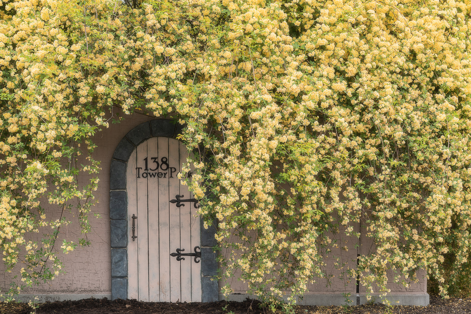 138タワーパーク