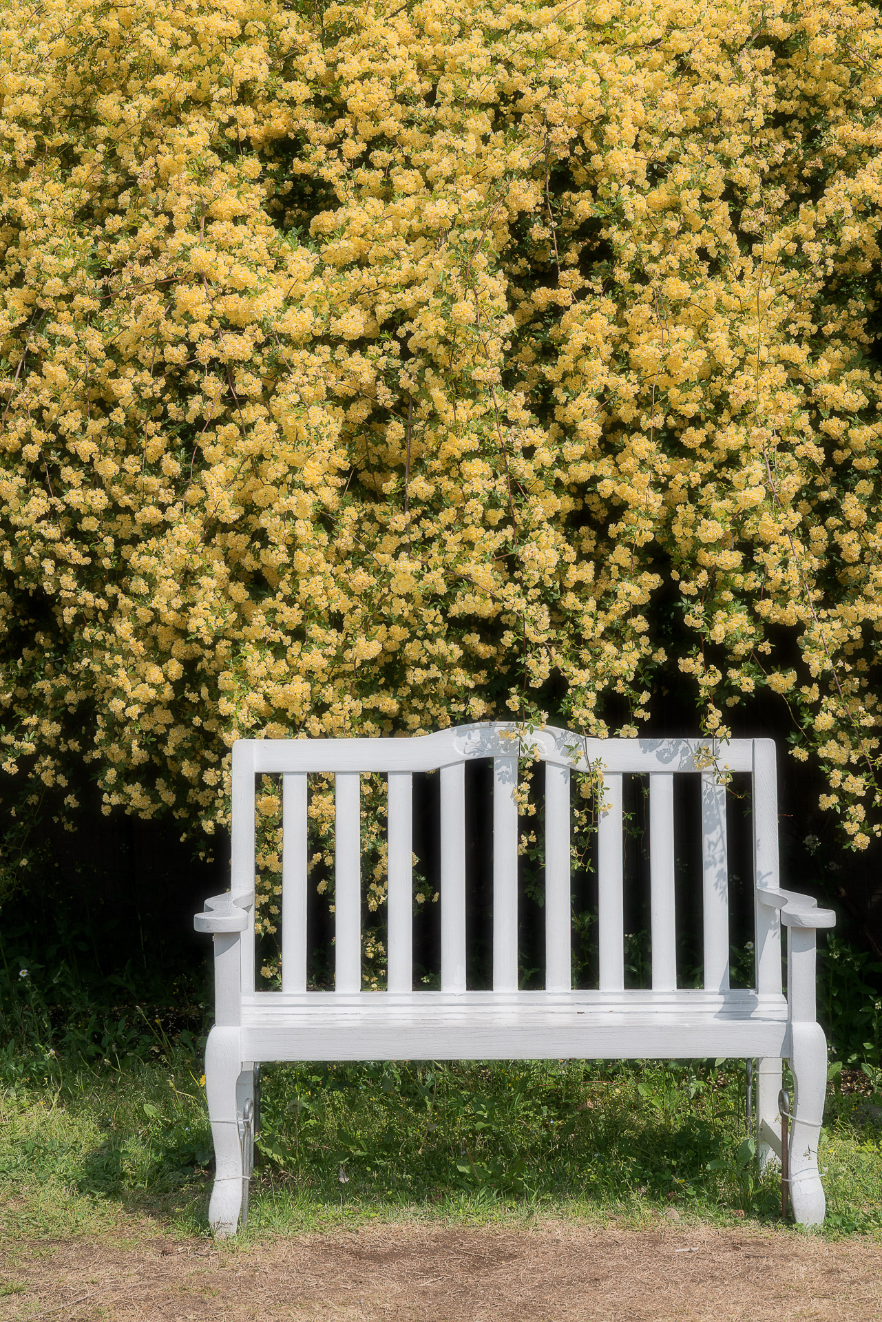 138タワーパーク