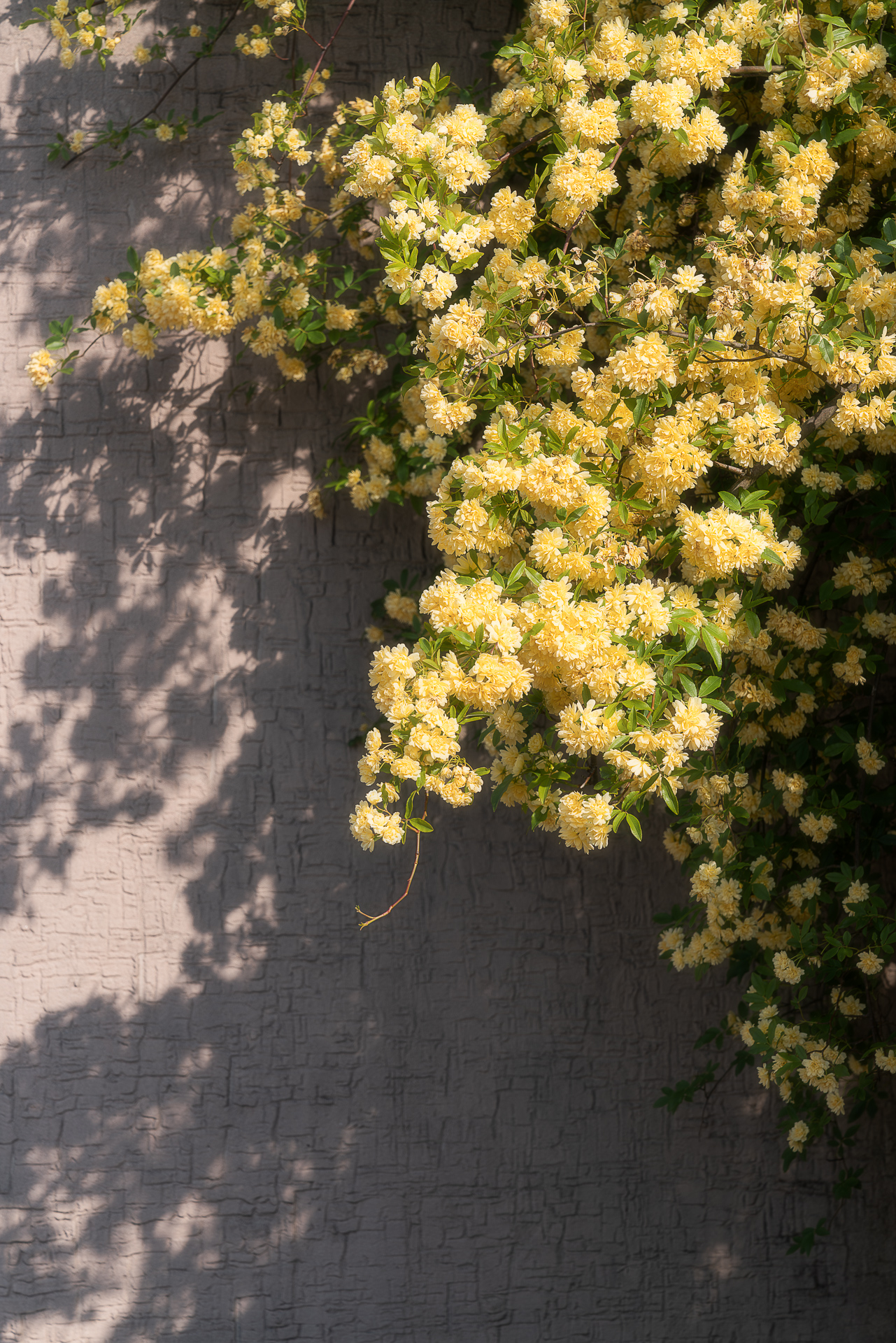 138タワーパーク