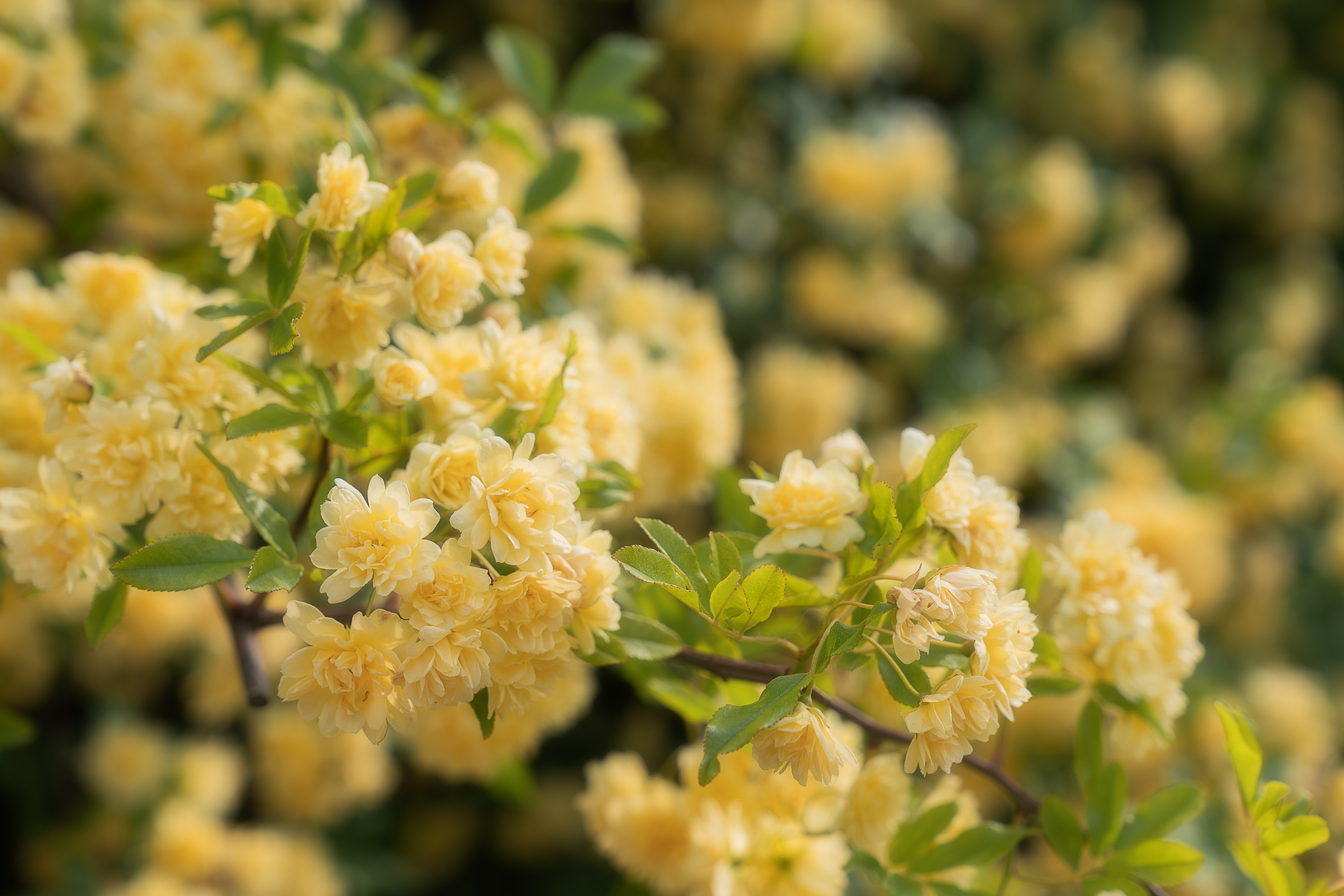 138タワーパーク