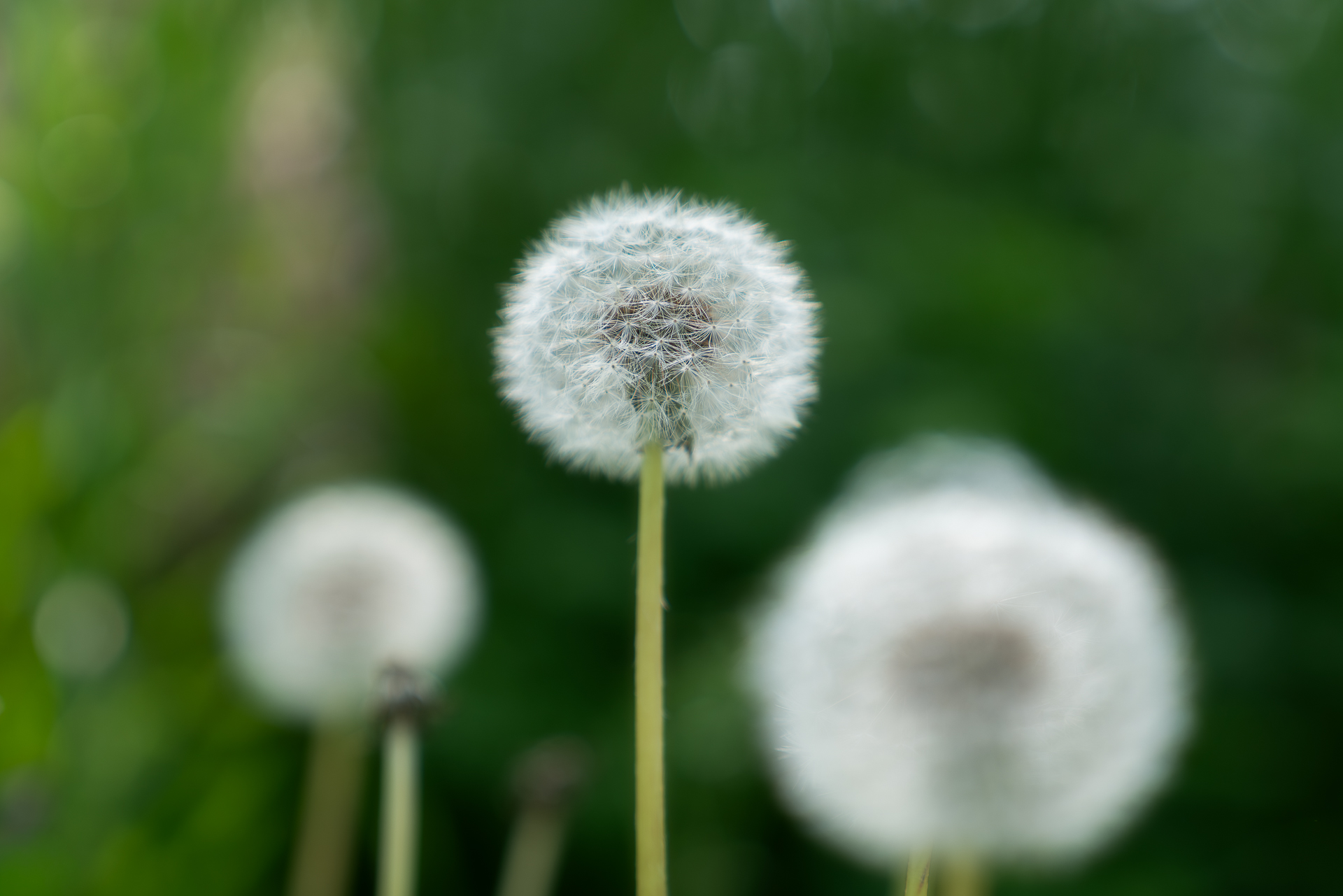 138タワーパーク