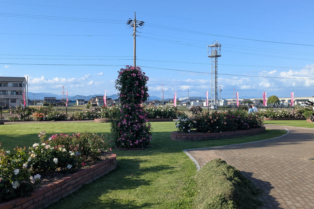 ばら公園いこいの広場（神戸町）撮影スポット