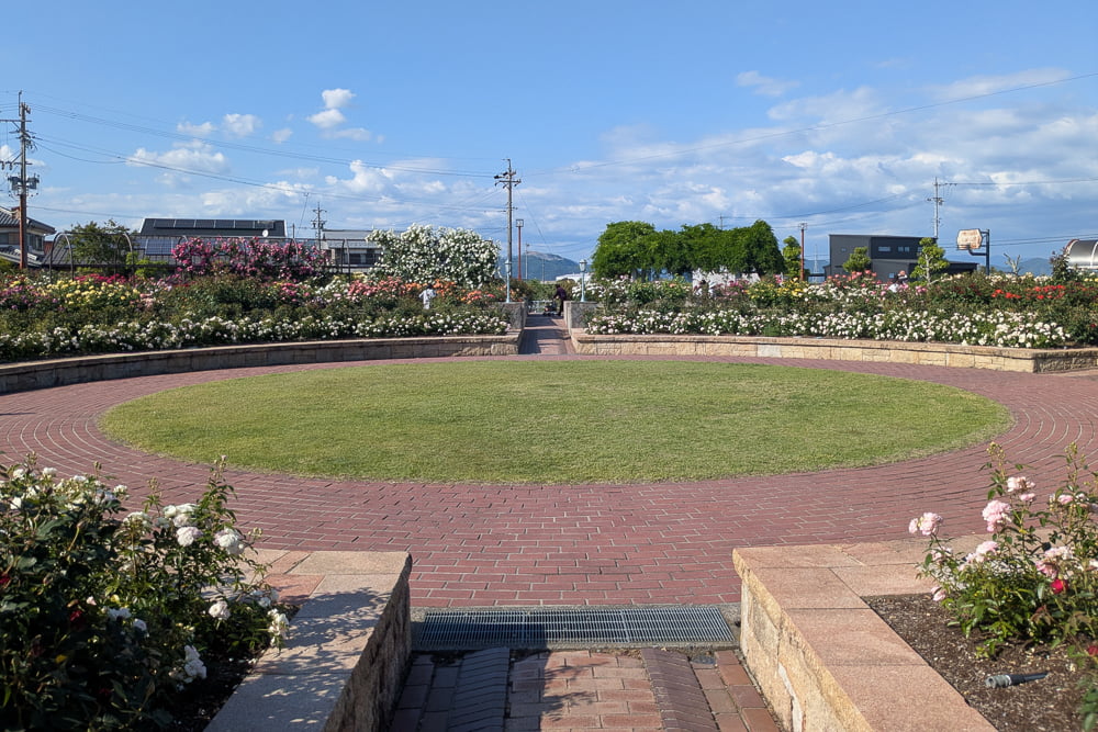 大野町バラ公園撮影スポット